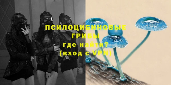 ешки Нягань