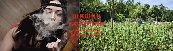 мескалин Няндома